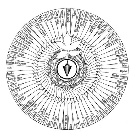 Qu Es La Terapia De Respuesta Espiritual Con Cela