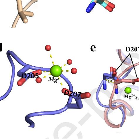 Structure Of Ca 2 Binding Midas Download Scientific Diagram