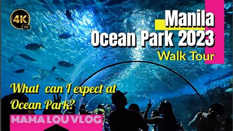 Manila Ocean Park 2023 Attractions Update Mama Lou Vlog YouTube