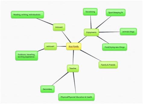 MIND MAPPING