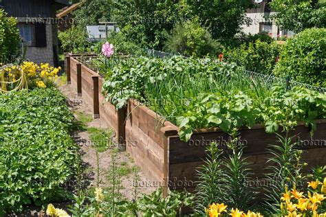 Image Raised Beds In An Allotment Garden 534232 Images Of Plants