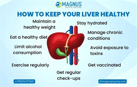 How To Keep Your Liver Healthy 6 Best Tips