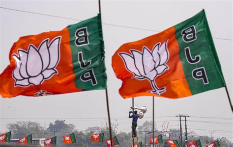 Lok Sabha Polls Bjp Candidate From Rajasthans Nagaur Files Nomination