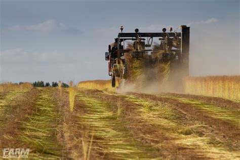 Linovation Le Nouveau Rendez Vous De La Fili Re Lin Fibre Farm