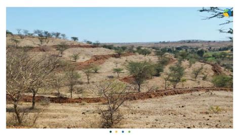 Watershed Organisation Trust Wotr On Linkedin Maharashtra