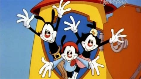 Animaniacs Intro Polish Youtube