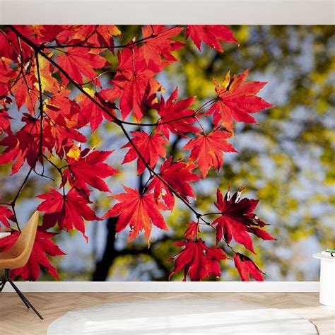 Autumn Maple Leaves Decorate With A Wall Mural Fall Wallpaper