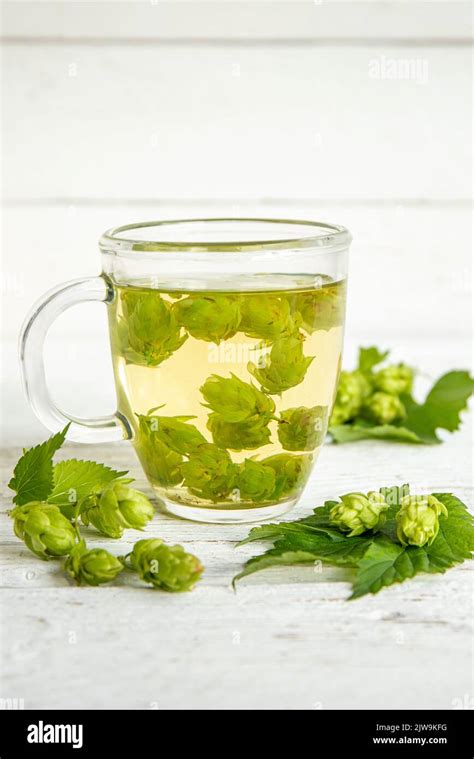 Herbal Medicinal Tea Drink Made Of Humulus Lupulus The Common Hop Or