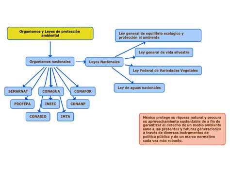 Organismos Y Leyes De Protección Ambiental Mind Map