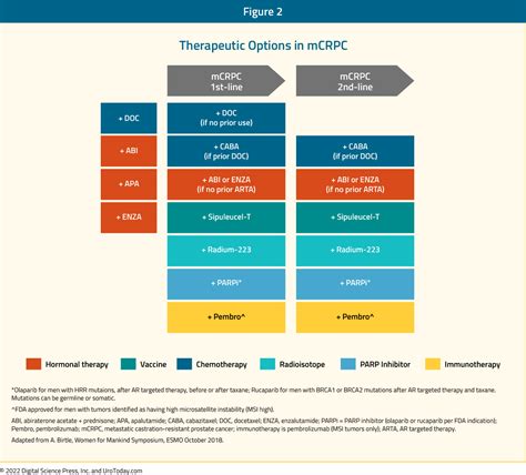 The Current Landscape of Metastatic Castration-Resistant Prostate Cancer: Nearly Two Decades of ...