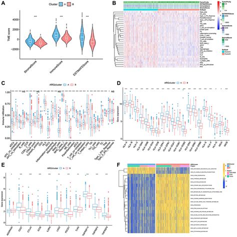 Identification And Validation Of Slco C As A Biological Marker In