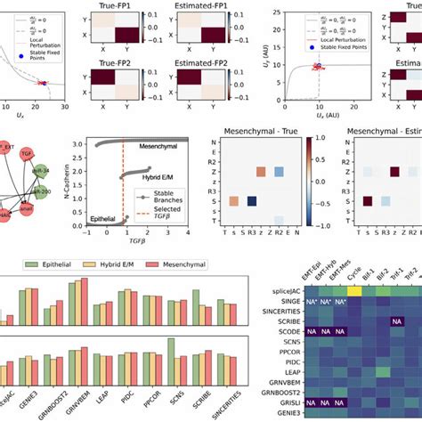 Benchmarking SpliceJAC Against In Silico Circuits And Comparison With