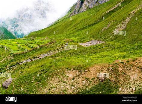 Green Terraced Fields And Traditional Architecture In The Ancient