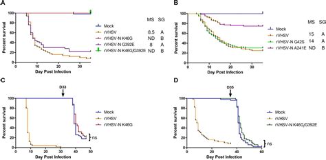 Frontiers The Viral Hemorrhagic Septicemia Virus VHSV Markers Of