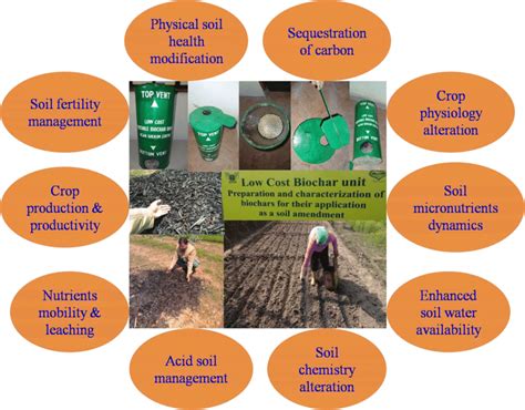 Biomass Derived Biochar Functions In Soil Plant And Water System