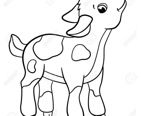 The top 21 Ideas About Baby Goat Coloring Pages - Home, Family, Style ...