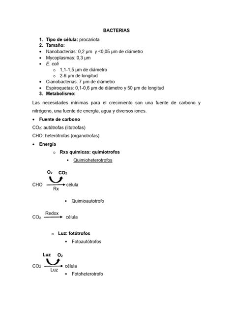 Bacterias Pdf Especialidades Medicas Biología