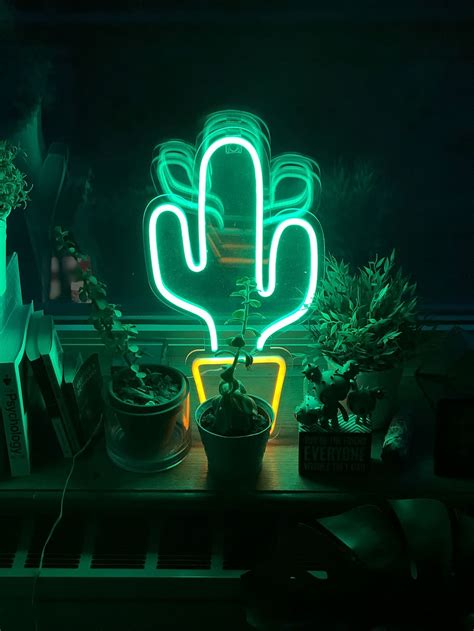 Cactus 1080p 2k 4k 5k Hd Wallpapers Free Download Wallpaper Flare
