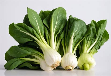 Premium Photo Bok Choy Isolated In A White Background