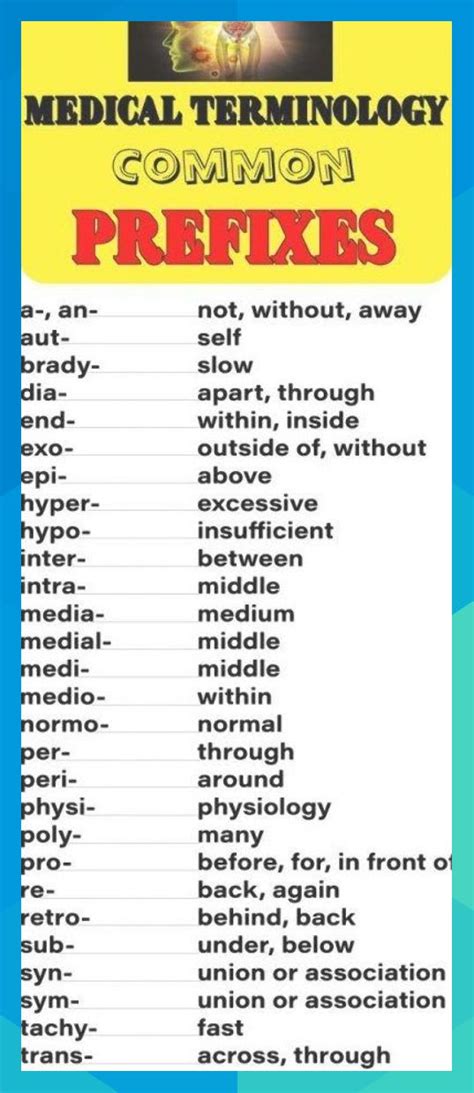 Free Printable Basic Medical Terminology List