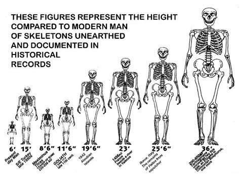 How Tall Were The Nephilim In The Book Of Enoch-culturalbook