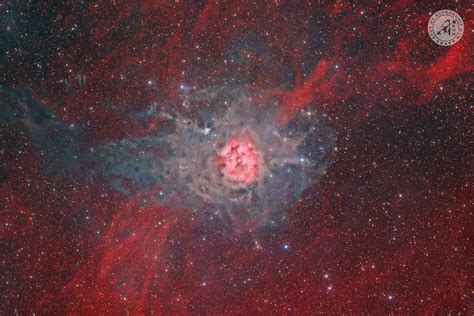 Cocoon Nebula Apod By Astronomia