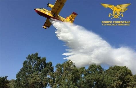 Incendio Oristanese In Azione Il Canadair