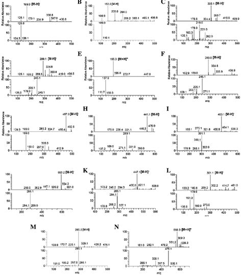 Mass Spectra Upper Ones Of Each Peak And Msms Fragmentation Patterns Download Scientific