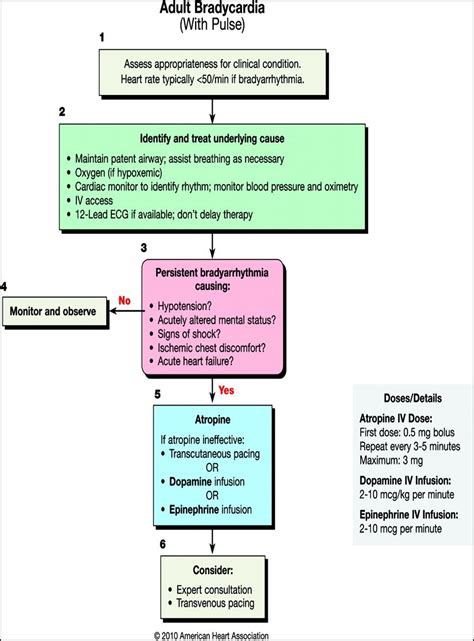 Acls Advanced Cardiac Life Support Acls Algorithm