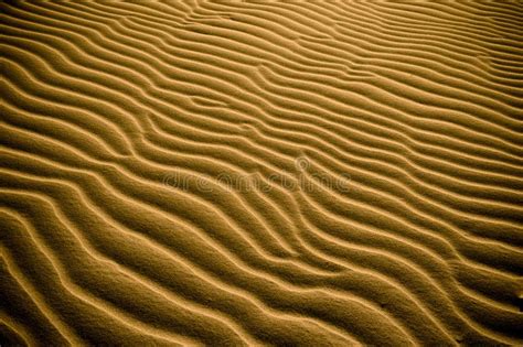 Textura Altamente Detalhada De Dunas De Areia Foto De Stock Imagem De