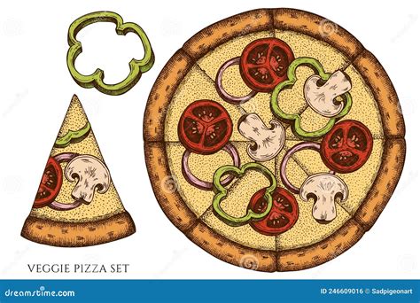 Pizza Hand Drawn Vector Illustrations Collection Colored Veggie Pizza