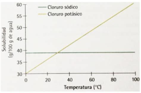 En El Siguiente Gr Fico Aparece La Variaci N De Solubilidad De Dos