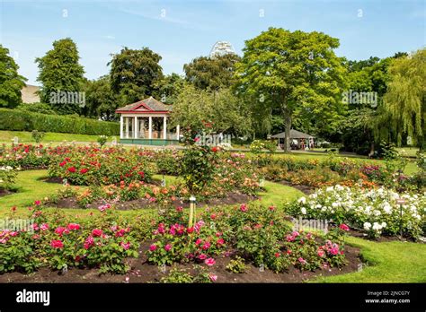 Rose Garden Botanical Gardens Belfast Northern Ireland Stock Photo