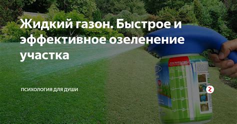 Жидкий газон. Быстрое и эффективное озеленение участка | Психология для ...