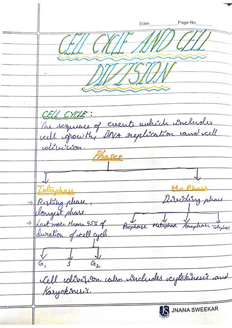 SOLUTION Cell Cycle And Cell Division Class 11 Notes Mindmap Studypool