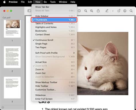 Come Unire PDF Su Mac All Things Windows