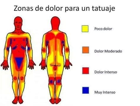 D Nde Tatuarse Tatuajes Dolor Dolor De Cuerpo Tutorial De Tatuajes