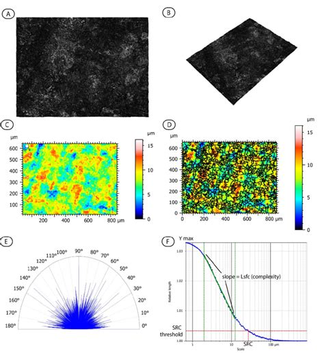examples    scanned vessel  view   degree angled view