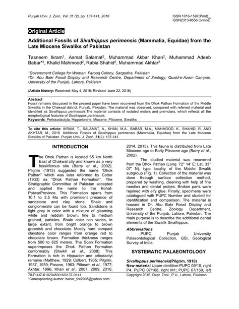 (PDF) Additional Fossils of Sivalhippus perimensis (Mammalia, Equidae) from the Late Miocene ...