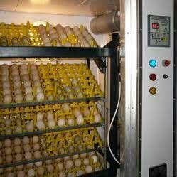 poultry hatchery Buy poultry hatchery in Varanasi Uttar Pradesh India ...