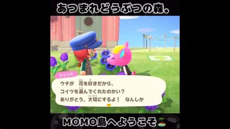 ☑️【あつ森】20240503『1分間動画①』animalcrossingnewhorizonsあつまれどうぶつの森동물의숲