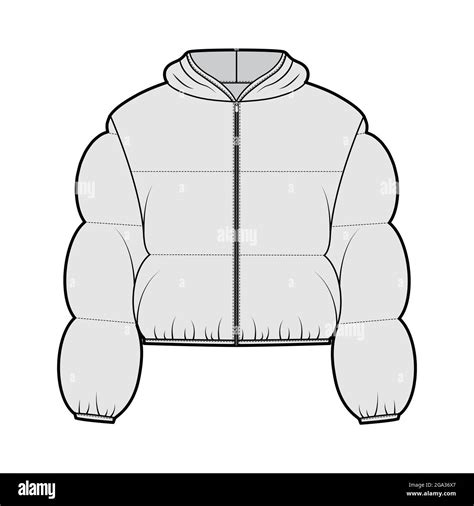 Hooded Jacket Down Puffer Coat Technical Fashion Illustration With Long