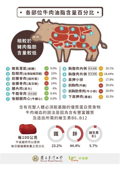 這些部位好油！營養師圖解「牛肉油脂含量」：莎朗、牛小排都上榜 Ettoday健康雲 Ettoday新聞雲