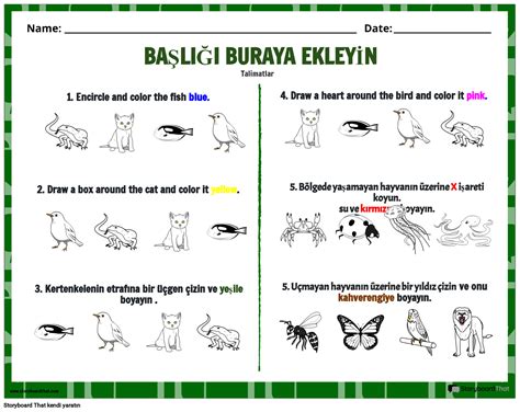 Karmaşık Yönergeleri Takip Etme Çalışma Sayfası