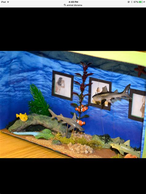 How to Make a Diorama: 10 Steps (with Pictures) - wikiHow