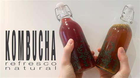 C Mo Hacer Kombucha En Espa A El Refresco De Moda Youtube