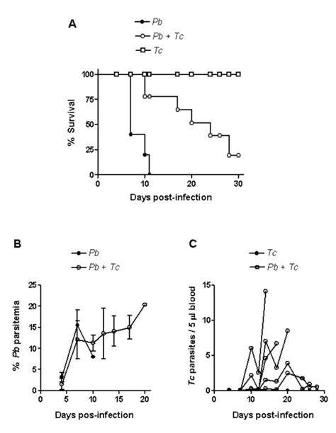 Mortality And Course Of Infection In Mice Infected With P Berghei Anka Download Scientific