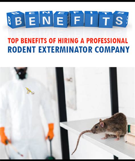 Why Hiring A Professional Rodent Exterminator Is Important