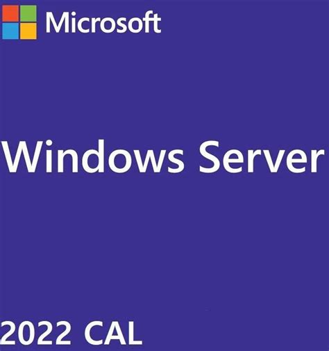 Program Biurowy Microsoft Windows Server Cal User Year