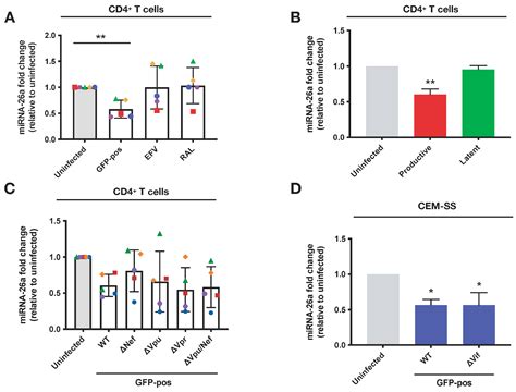 Viruses Free Full Text Downregulation Of Mirna 26a By Hiv 1